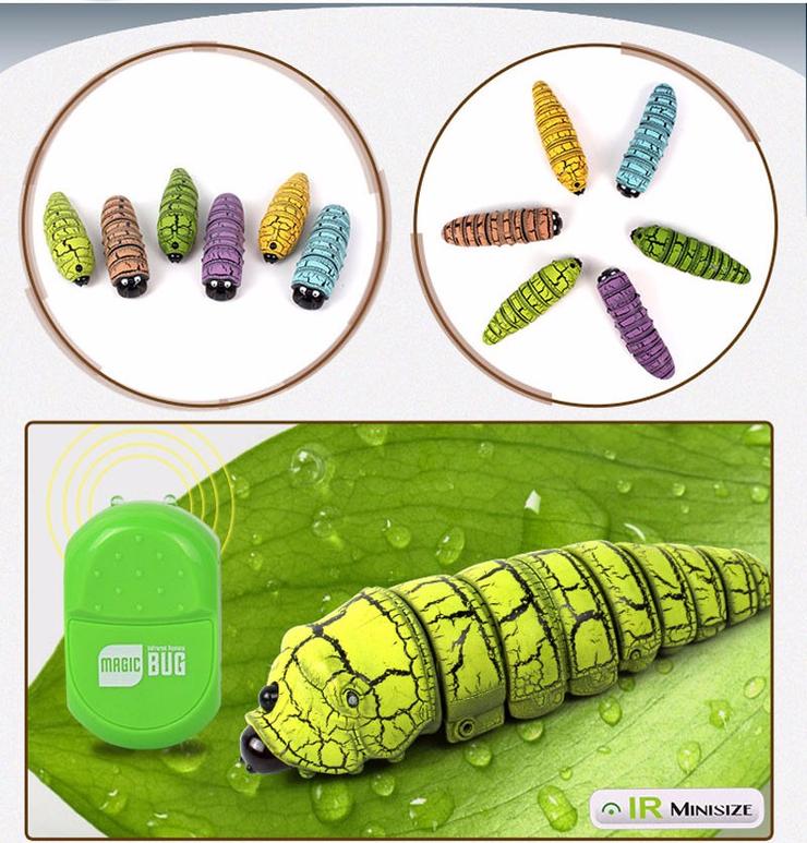 באג קסם - Image 2