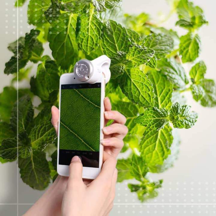 מיקרוסקופ LED לטלפון נייד - Image 2