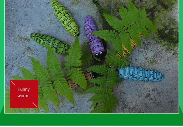 באג קסם - Image 5