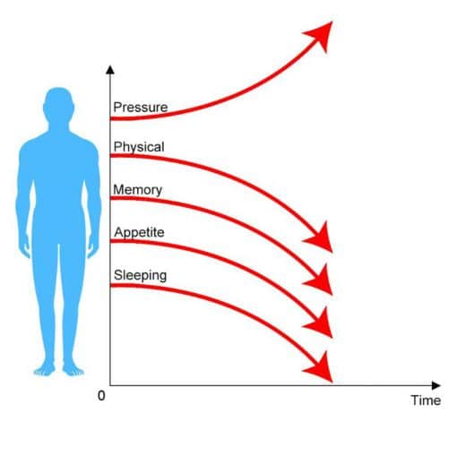 מזרן יוגה לעיסוי דיקור - Image 4