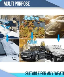 תרסיס ג'ינג'ר ReGrowth