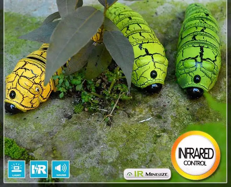 באג קסם - Image 6