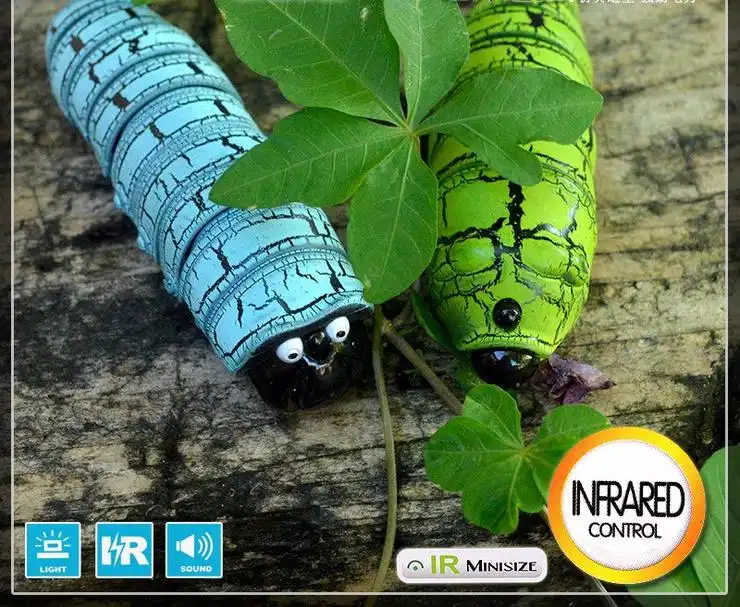 באג קסם - Image 7