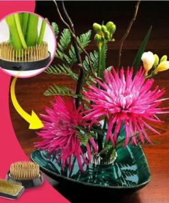 מחזיק סידור פרחים של קנזנס