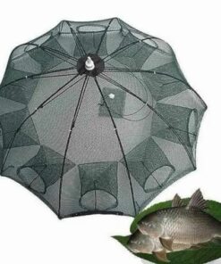 רשת דייגים מלכודת עצלנים